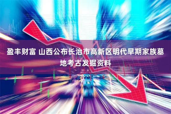 盈丰财富 山西公布长治市高新区明代早期家族墓地考古发掘资料