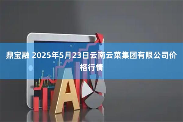 鼎宝融 2025年5月23日云南云菜集团有限公司价格行情